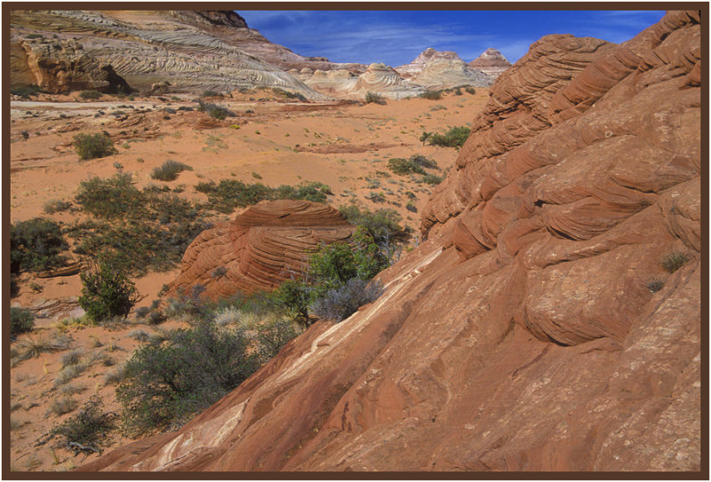 Paria Canyon Vermilion Cliffs Wilderness