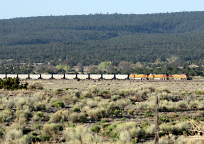 bnsf4456wsguam.jpg