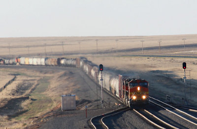 bnsf5205ecarnero.jpg