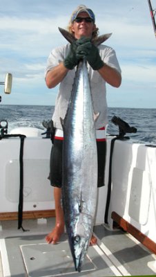 Sierra (king mackerel) - Scomberomorus commerson - photo Martin Visagie