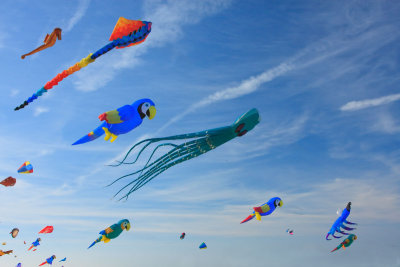 Kite Festival Margate