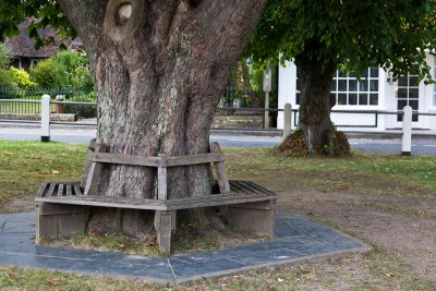 Gouldhurst tree seat