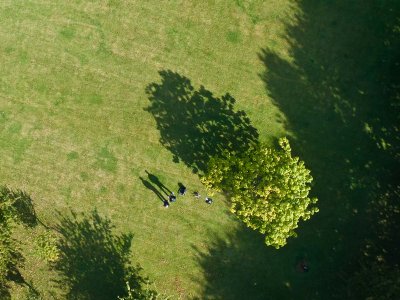 Preston Park long shadow (Hexa)