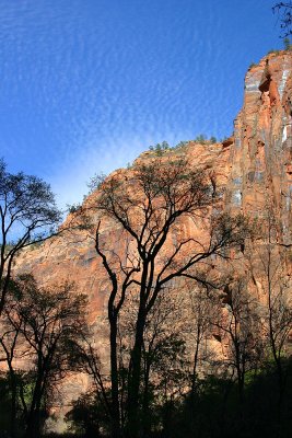 Beautiful colors in Zion