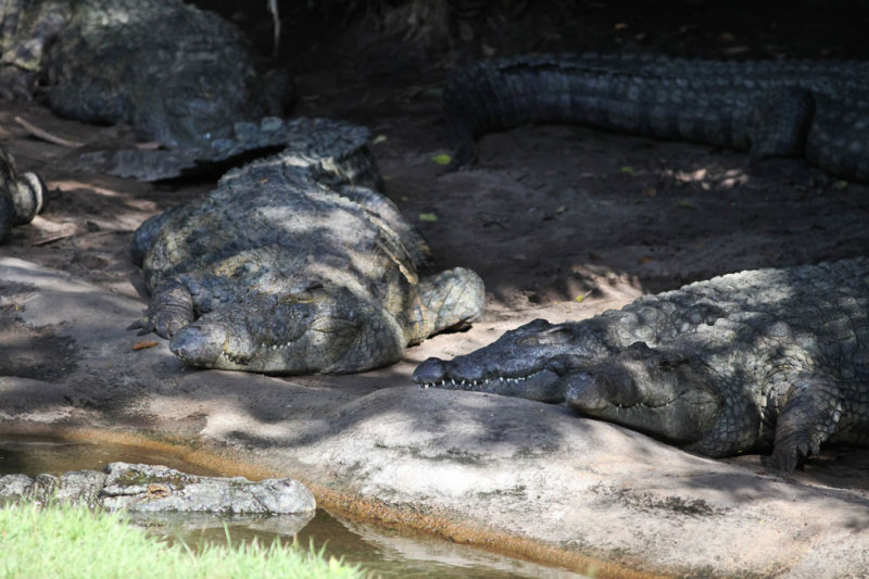 disney_d4_006.jpg