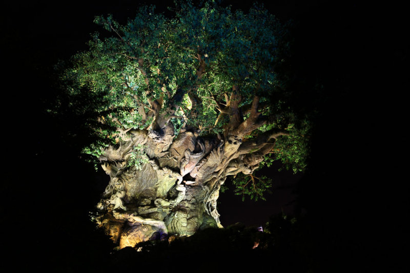 disney_d4_111.jpg