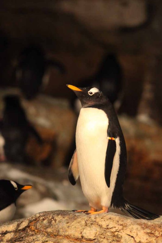 2010_fla_d1_022.jpg