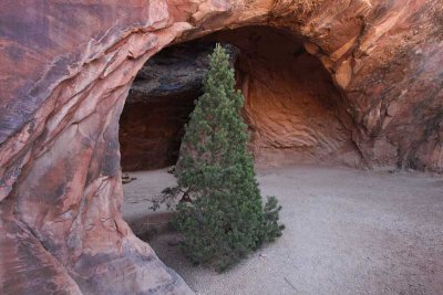 Arches - Najavo Arch2