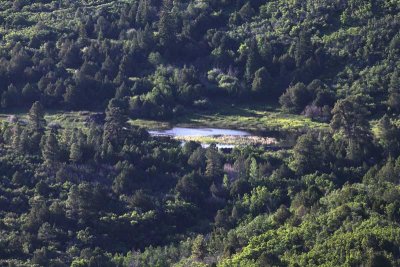 Cabin Water View