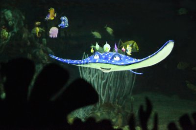 disney_d1_035.jpg