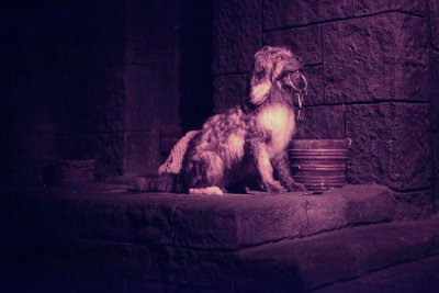 disney_d3_078.jpg