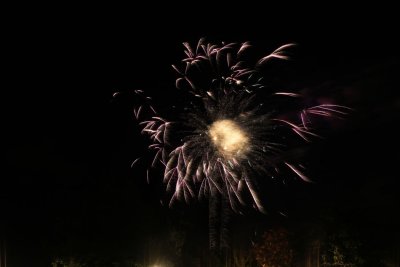 disney_d3_132.jpg