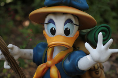 disney_d4_069.jpg