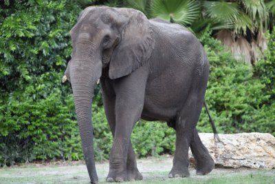 disney_d4_091.jpg