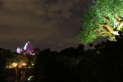 disney_d4_108.jpg