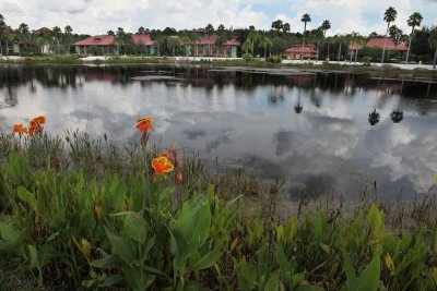 disney_d10_002.jpg
