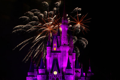 disney_d11_045.jpg