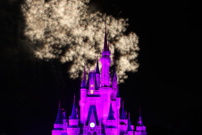 disney_d11_046.jpg