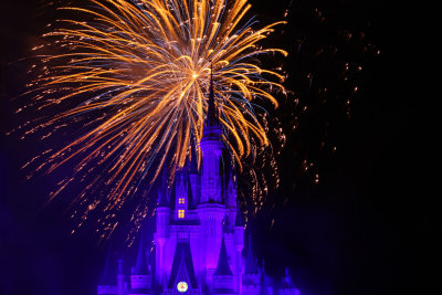 disney_d11_058.jpg