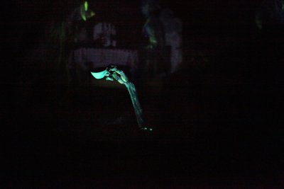 disney_d11_078.jpg