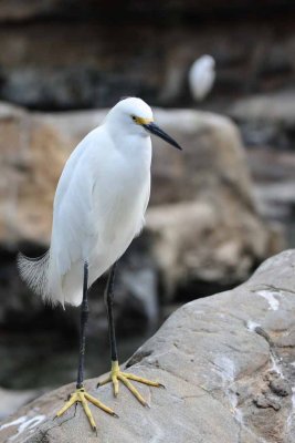 2010_fla_d1_015.jpg