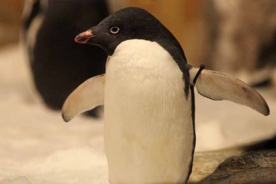 2010_fla_d1_024.jpg