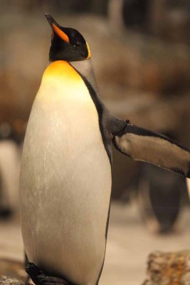 2010_fla_d1_025.jpg