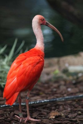 2010_fla_d1_026.jpg