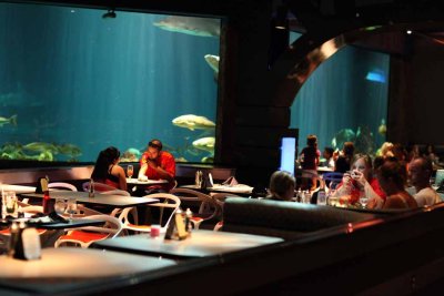 2010_fla_d1_034.jpg