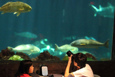 2010_fla_d1_035.jpg