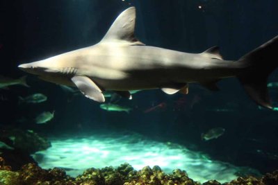 2010_fla_d1_042.jpg