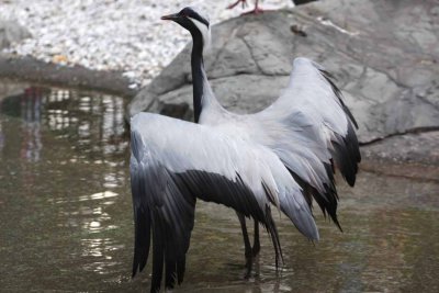 2010_fla_d1_065.jpg