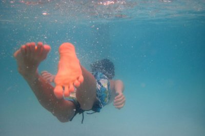 2010_fla_d2_010.jpg