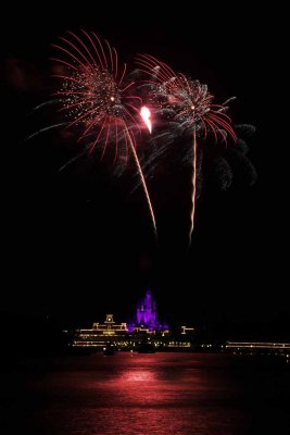 2010_fla_d7_227.jpg