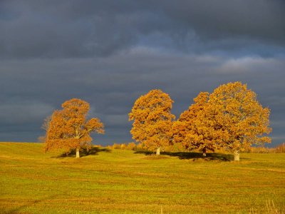 Talsi region, Latvia