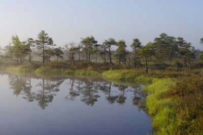 Kemeri National Park