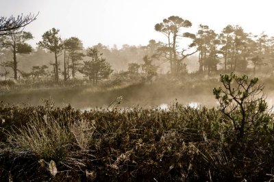 Kemeri National Park