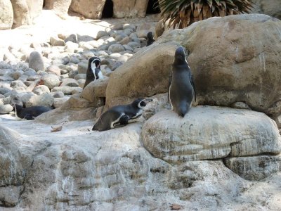 Barcelona Zoo