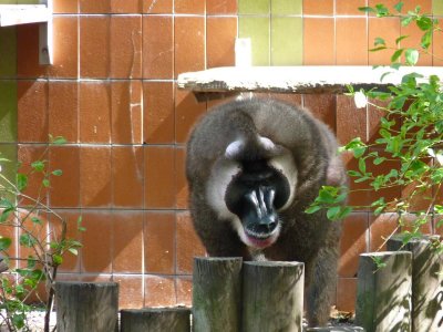 Barcelona Zoo