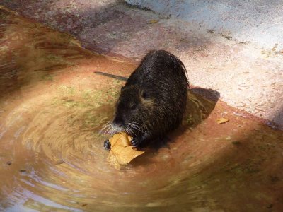 Barcelona Zoo
