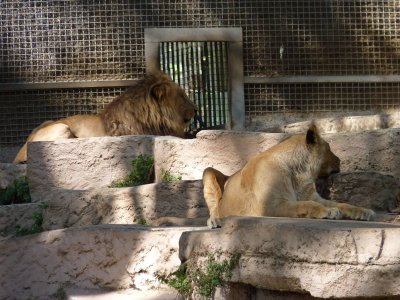 Barcelona Zoo