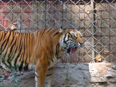 Barcelona Zoo