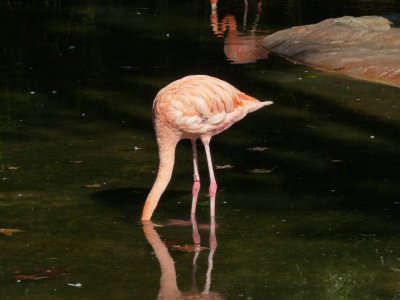 Barcelona Zoo