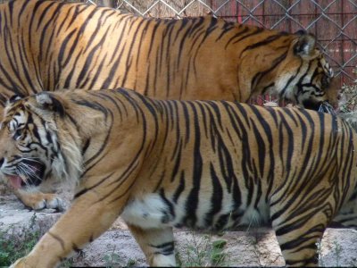 Barcelona Zoo