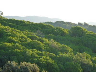 Montnegre and Montseny mountains