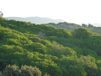 Montnegre and Montseny mountains