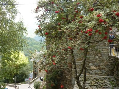 Queralbs