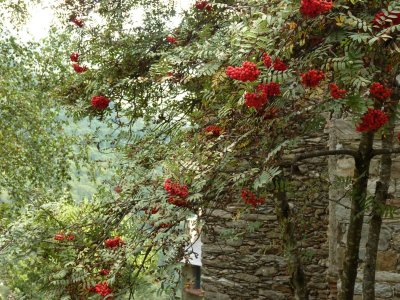 Queralbs