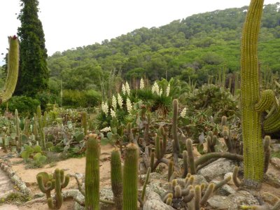 Pinya de Rosa botanical garden