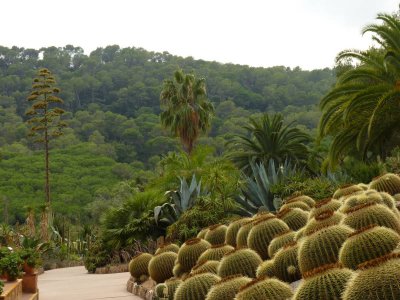 Pinya de Rosa botanical garden